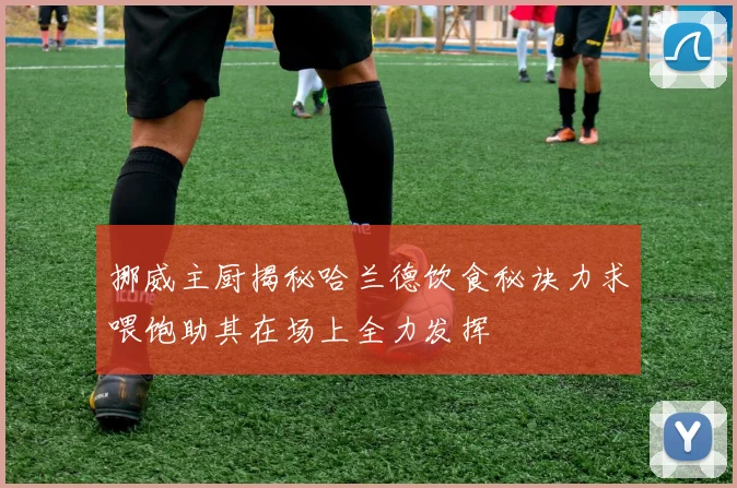 挪威主厨揭秘哈兰德饮食秘诀力求喂饱助其在场上全力发挥